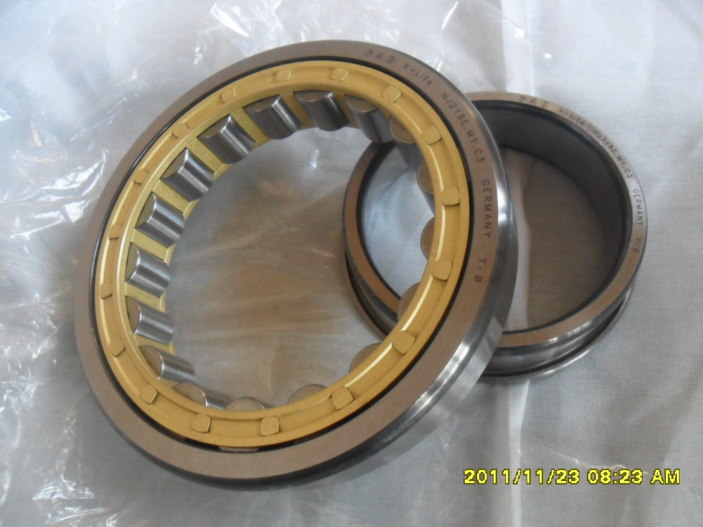 Original FAG Cylindrical roller bearing NJ218E.M1.C3